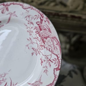 Häpnadsväckande 1800-tals antika franska Assiette / Tallrik - Modell 'Rambouillet' de K & G Luneville en Terre de Faïence Rose / Rosa och vita fåglar... bild 9