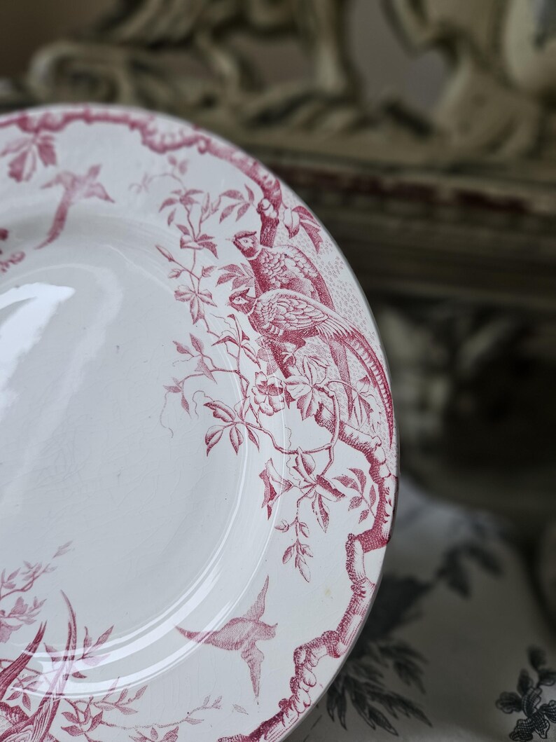Häpnadsväckande 1800-tals antika franska Assiette / Tallrik - Modell 'Rambouillet' de K & G Luneville en Terre de Faïence Rose / Rosa och vita fåglar... bild 9