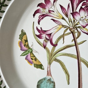 Atemberaubender seltener in Frankreich gefundener Vintage PORTMEIRION Botanischer Garten Mexikanische Lilie / Amaryllis Reginae Speiseteller-englisches Porzellan um 1972