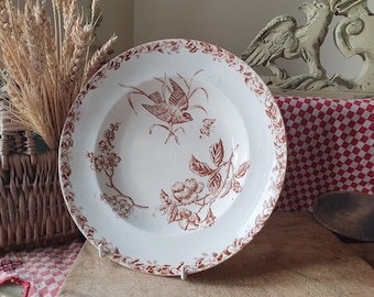 Sublime Antique French Sepia & White CHARDONNERET / GOLDFINCH