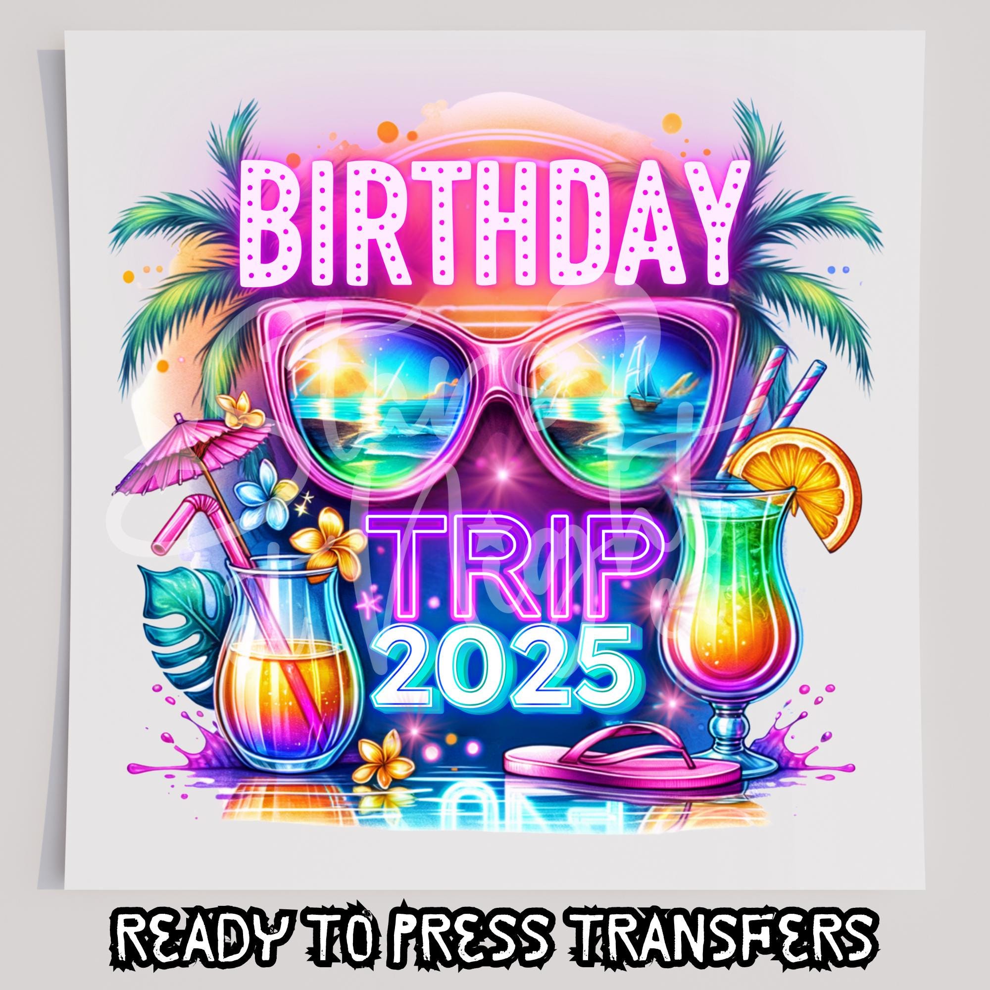 Birthday Trip 2025 T-Shirt Transfer, Ready To Press Transfer, Screen Print Transfer, DTF, Direct To Film, Vacation DTF
