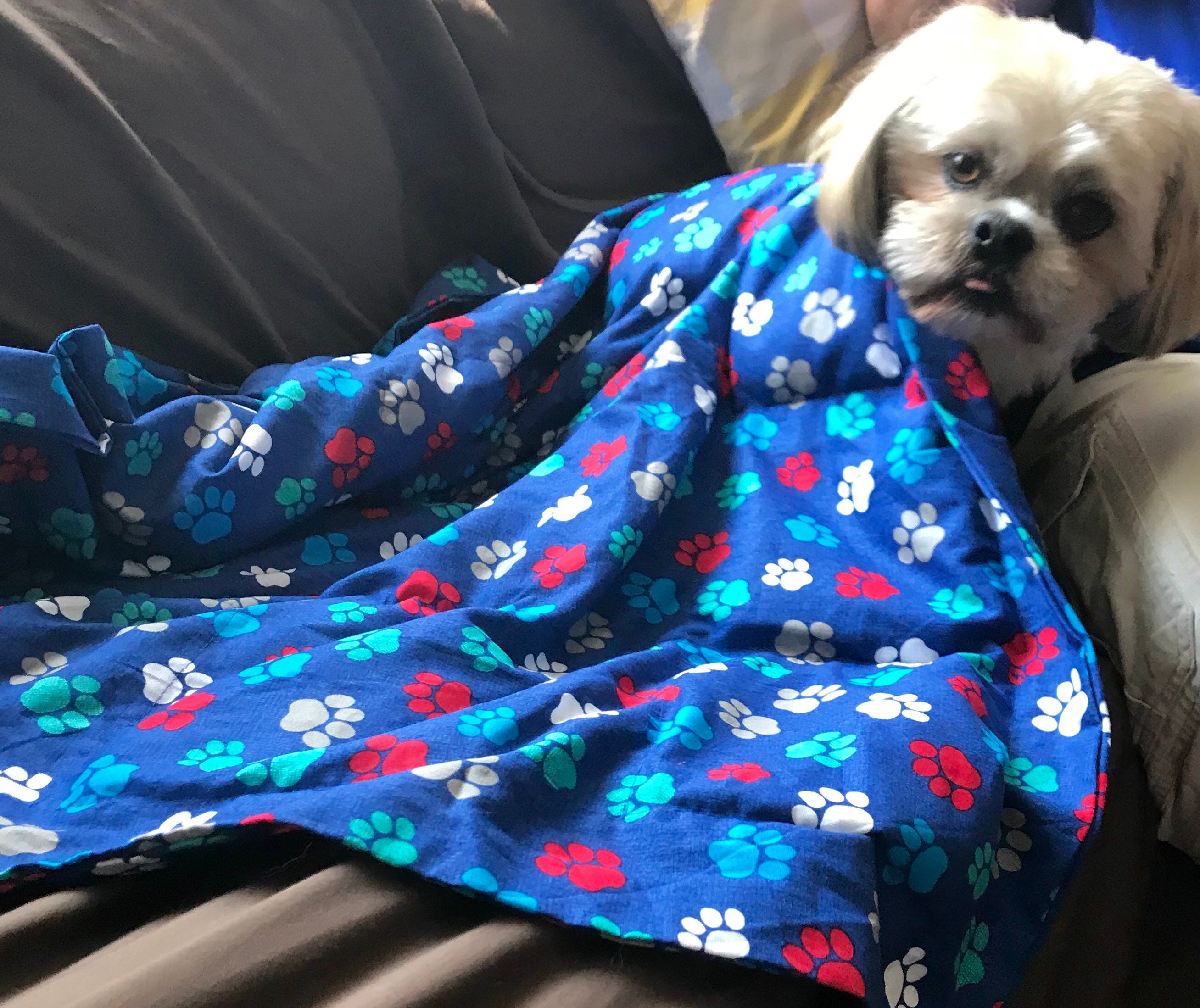 thunder blanket for dogs