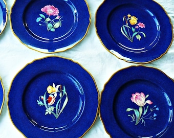 12 platos llanos Copeland Spode, Premium Vintage Royal Blue Set en estilo punteado "Powder" ~ Flores diferentes, Rosa Amarillo Morado Naranja