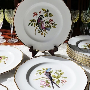 Spode Audubon Birds - Etsy