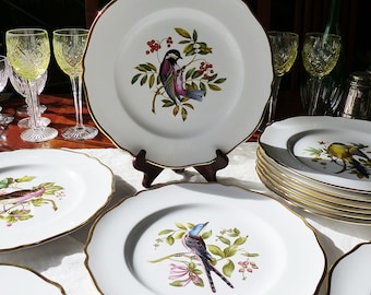 12 platos de cena Vintage Spode "Audubon Birds" Y6466, diferentes pájaros a todo color: carbonero, curruca, rey pájaro, papamoscas, tangara, etc.