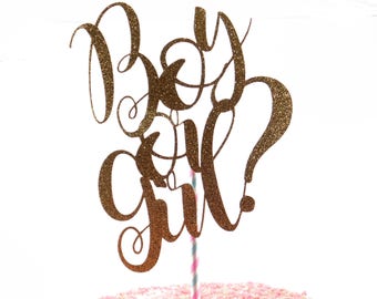 Boy or Girl Cake Topper, Gender Reveal, Gender Reveal Cake Topper, Gender Reveal Ideas, Boy or Girl, Cake Topper, Gender Reveal Party