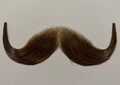 Theatrical Handlebar Moustache -100% Human Hair Moustache-Halloween Costume Facial Hair. Theater ,TV ,Drama -Handlebar -Light Brown.