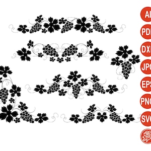 Vine SVG, Grape Leaves SVG, Grapevine, Grape SVG, Grape Silhouette svg, Cut File, Vine Vector, Grape, Grapevine eps, Grape pdf, jpg