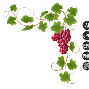 May include: A digital illustration of a grape vine with green leaves and a cluster of red grapes. The vine has brown stems and tendrils. The image includes file type icons for AI, JPG, EPS, and PNG.