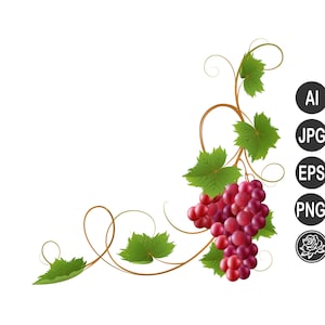 Puede incluir: Ilustración digital de un racimo de uvas rojas con hojas verdes y zarcillos marrones. La imagen incluye iconos de tipo de archivo para los formatos AI, JPG, EPS y PNG, junto con un icono de rosa, sobre un fondo blanco. Las uvas son el foco.