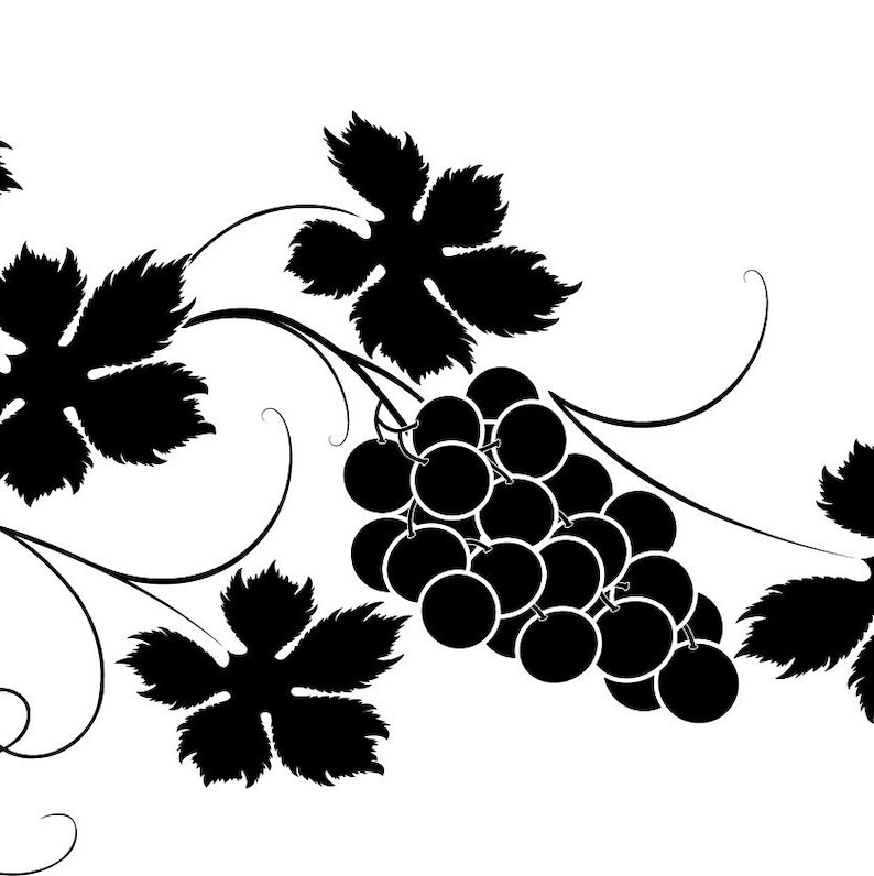 Download Vine SVG Grape Leaves SVG Grapevine Grape SVG Grape | Etsy