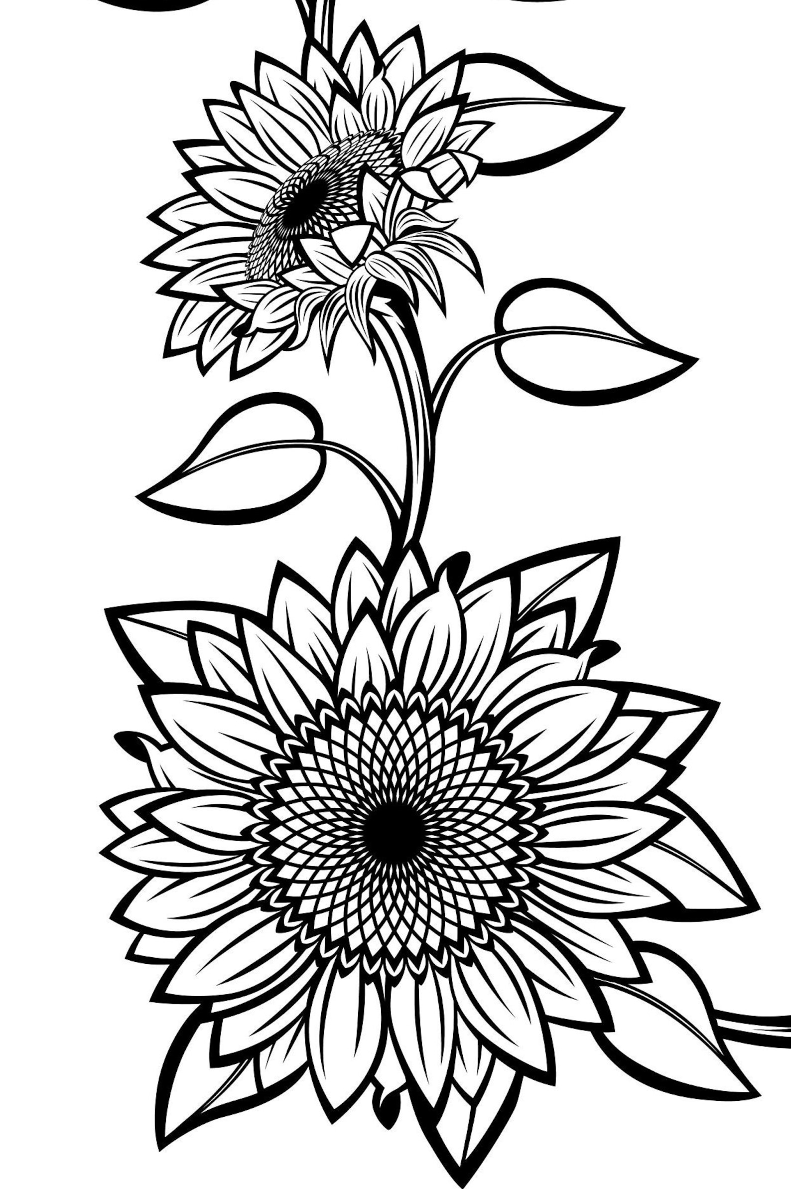 Black and White Sunflowers for Design SVG Sunflower Cut File Etsy