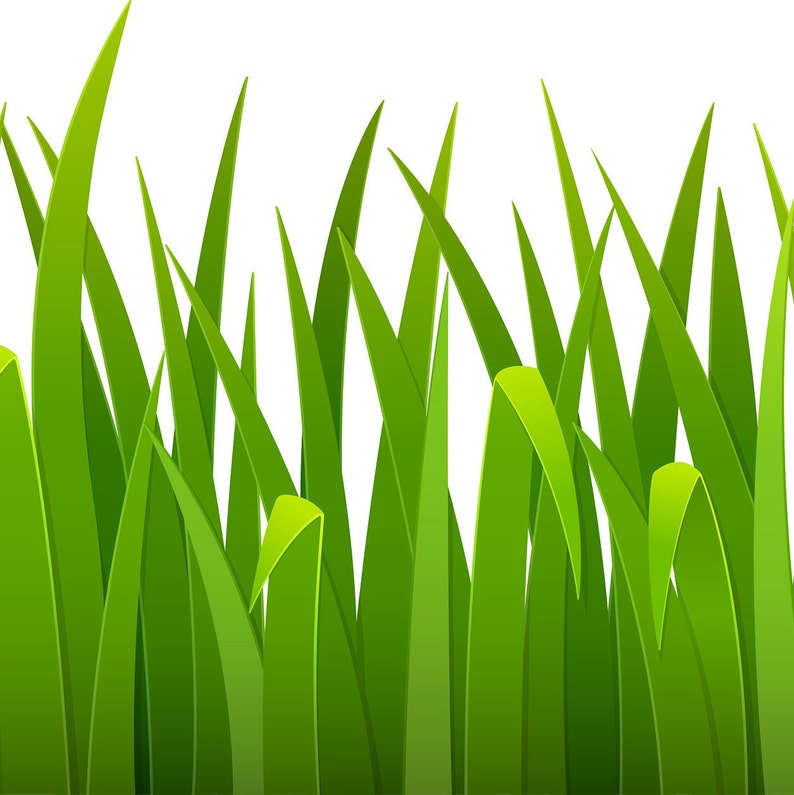 Download Digital Green Grass Border SVG Wild Herb Clip Art PNG | Etsy
