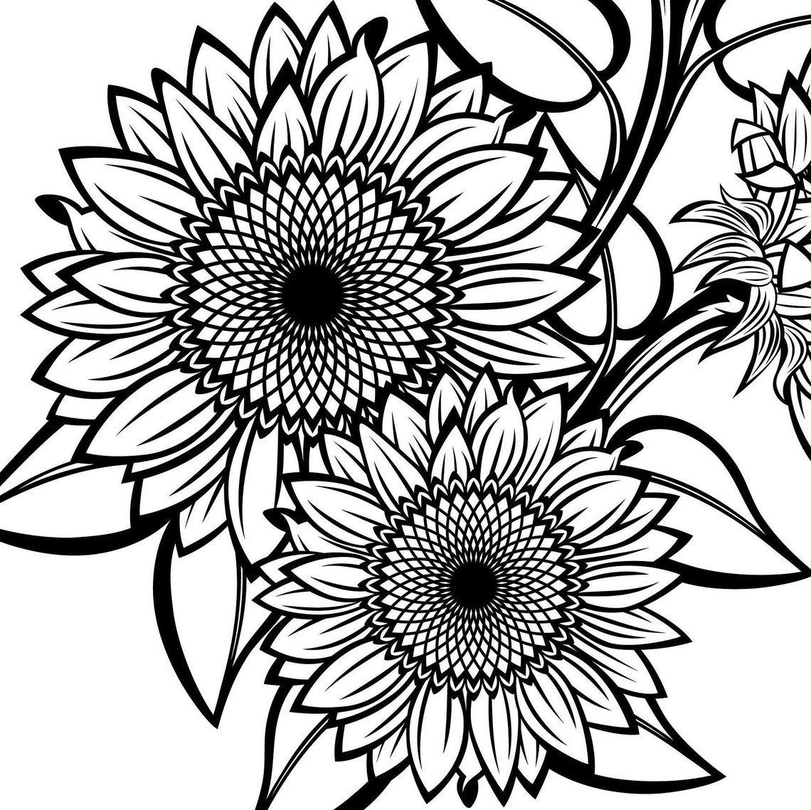Black and White Sunflowers for Design SVG Sunflower Cut File Etsy