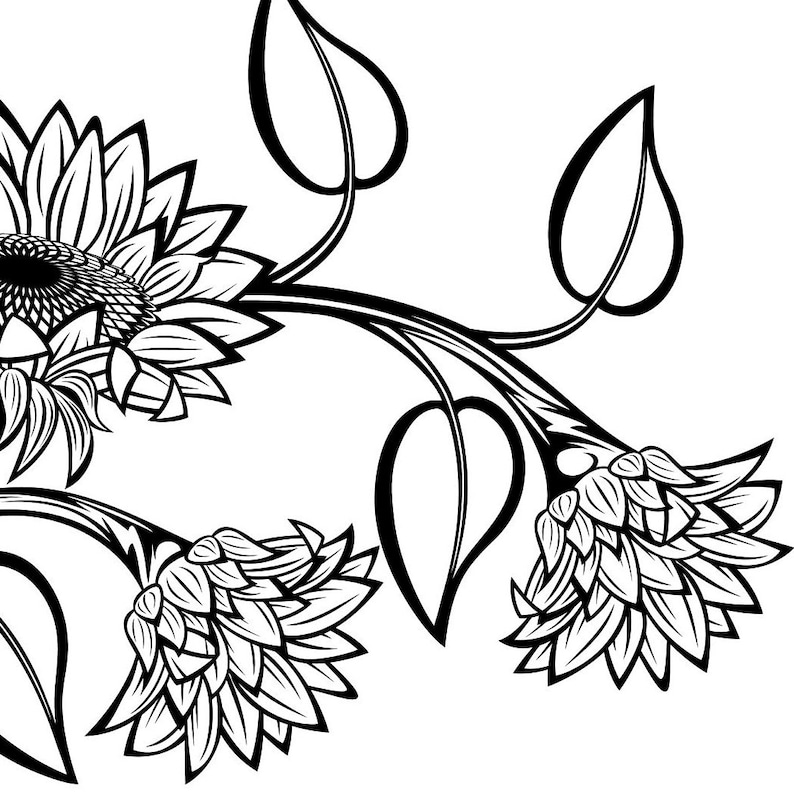 Free Free 167 Sunflower Svg Black SVG PNG EPS DXF File