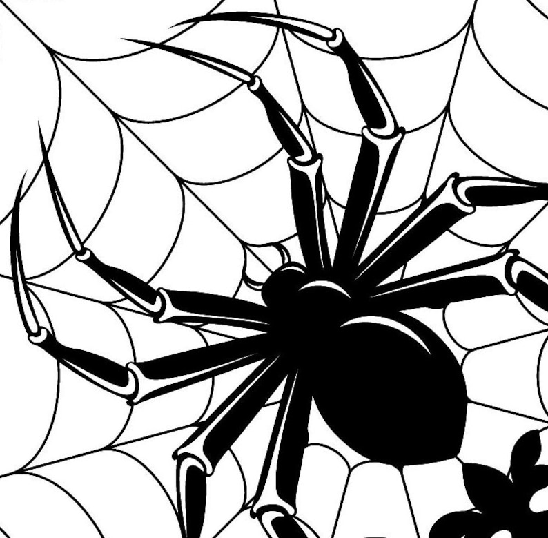 Download Spider Web SVG Halloween Spider Clipart DXF Border ...