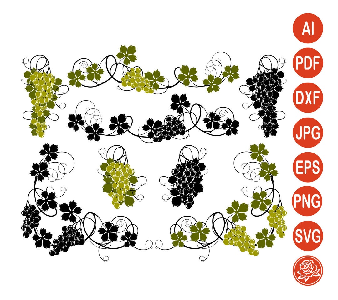 Curly Vine of Green Grapes With Fruits SVG, Grape Leaves, Vine Corner ...
