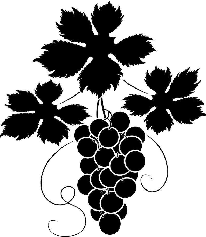 Download Vine SVG Grape Leaves SVG Grapevine Grape SVG Grape | Etsy