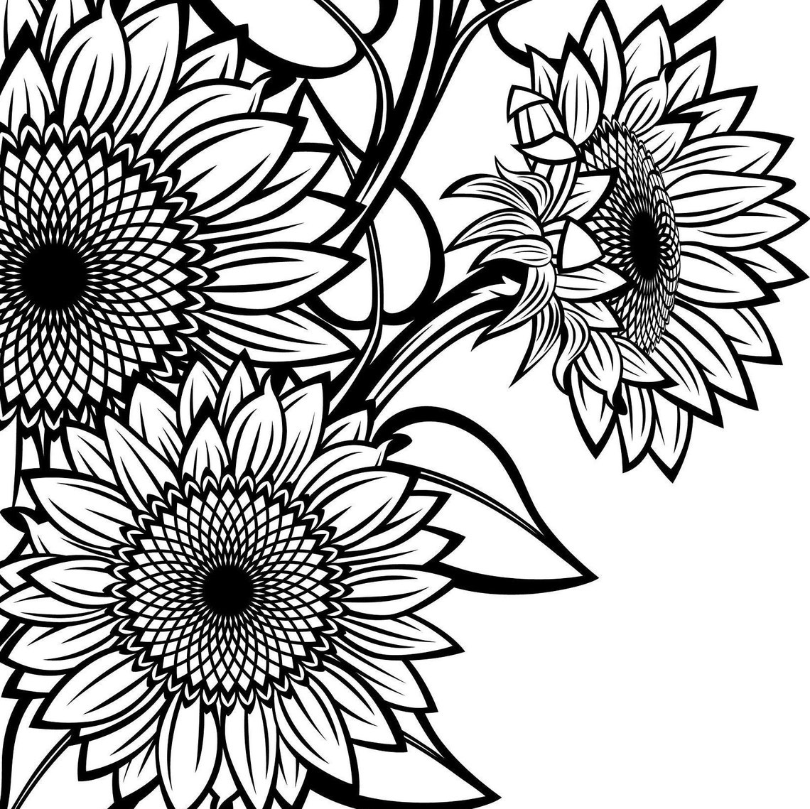 Black and White Sunflowers for Design SVG Sunflower Cut File Etsy