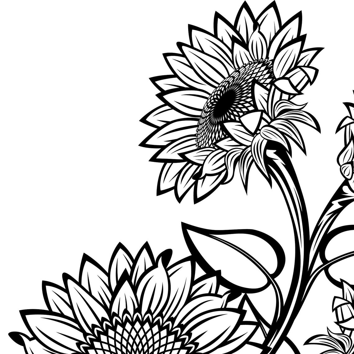 Black and White Sunflowers for Design SVG Sunflower Cut File Etsy