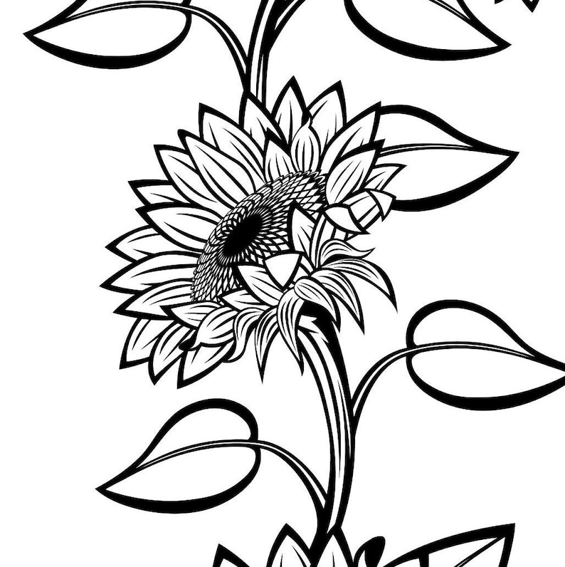 Download Black and white sunflowers for design SVG Sunflower cut ...