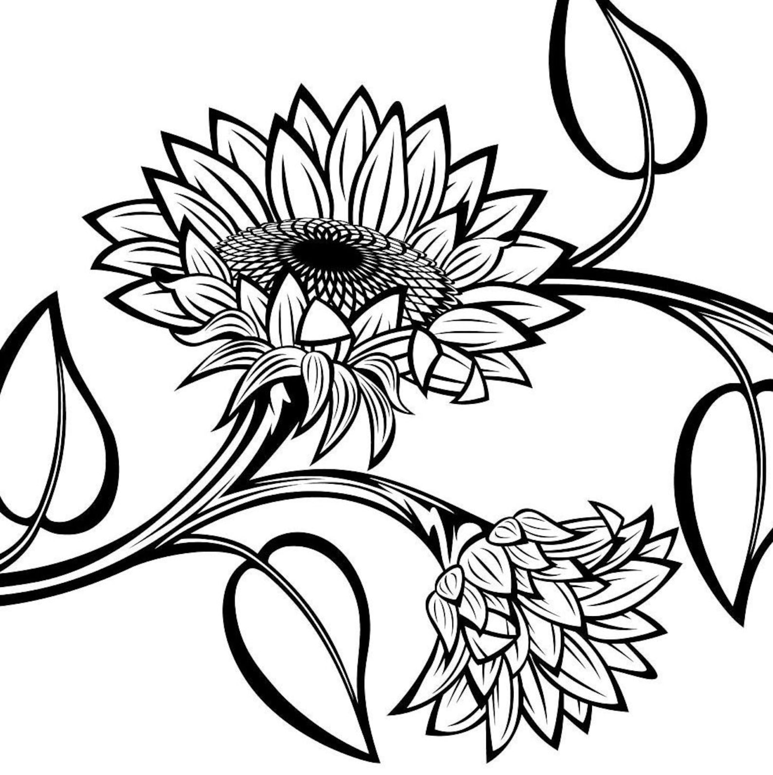 Black and White Sunflowers for Design SVG Sunflower Cut File Etsy