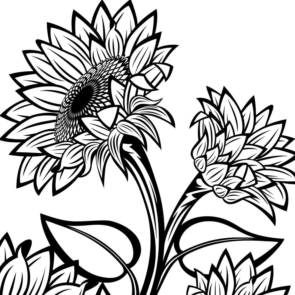 Black and White Sunflowers for Design SVG Sunflower Cut File Etsy
