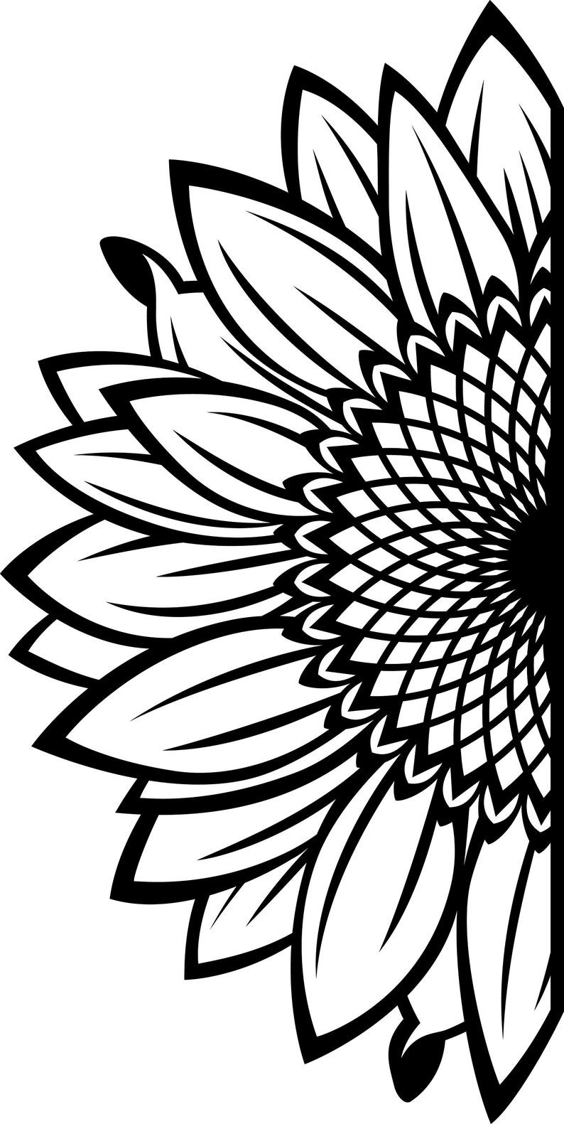 Download Split Sunflower for Design SVG File Half Flower PNG ...