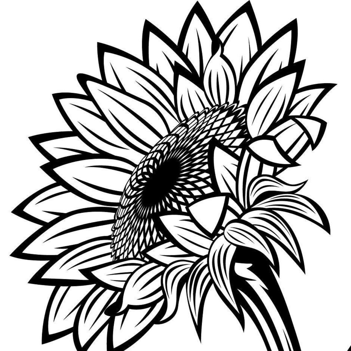 Black and White Sunflowers for Design SVG Sunflower Cut File Etsy