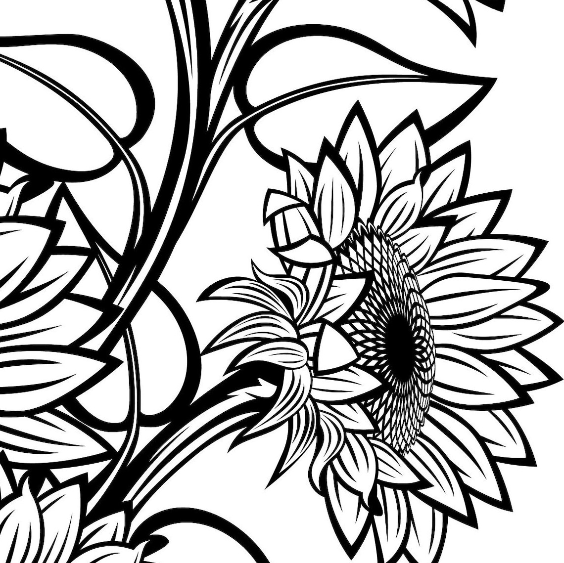 Black and White Sunflowers for Design SVG Sunflower Cut File Etsy