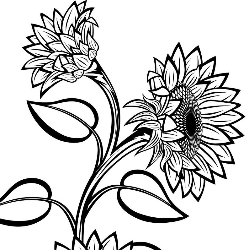 Free Free 55 Silhouette Sunflower Svg Black And White SVG PNG EPS DXF File
