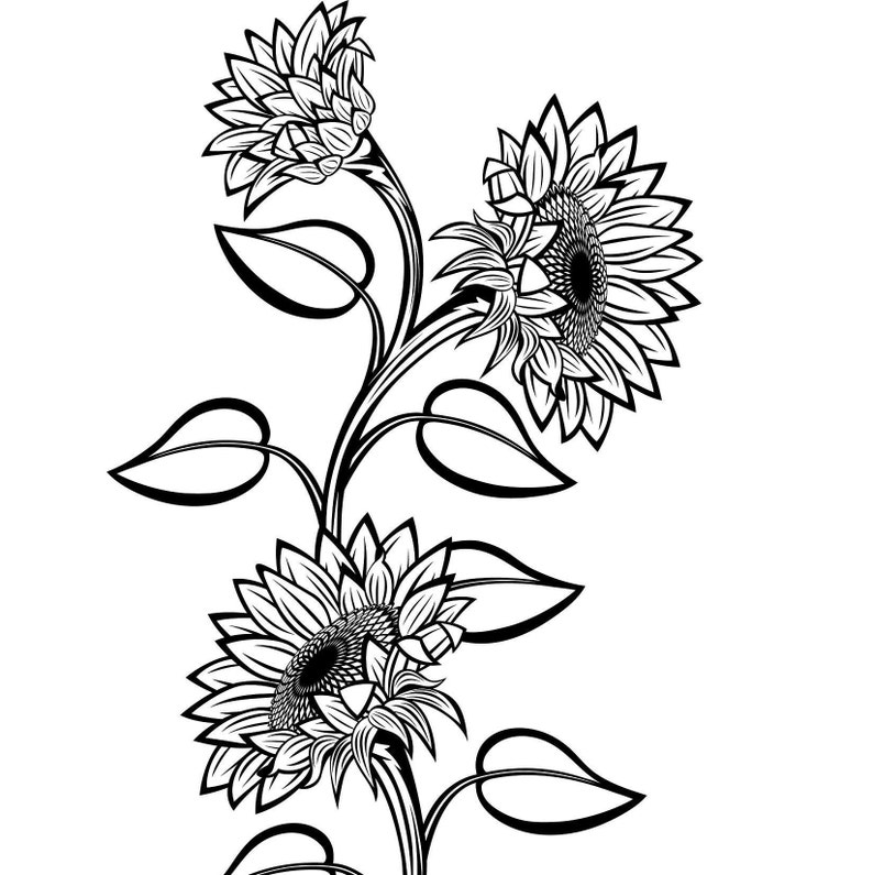Free Free Sunflower Svg Black And White 97 SVG PNG EPS DXF File
