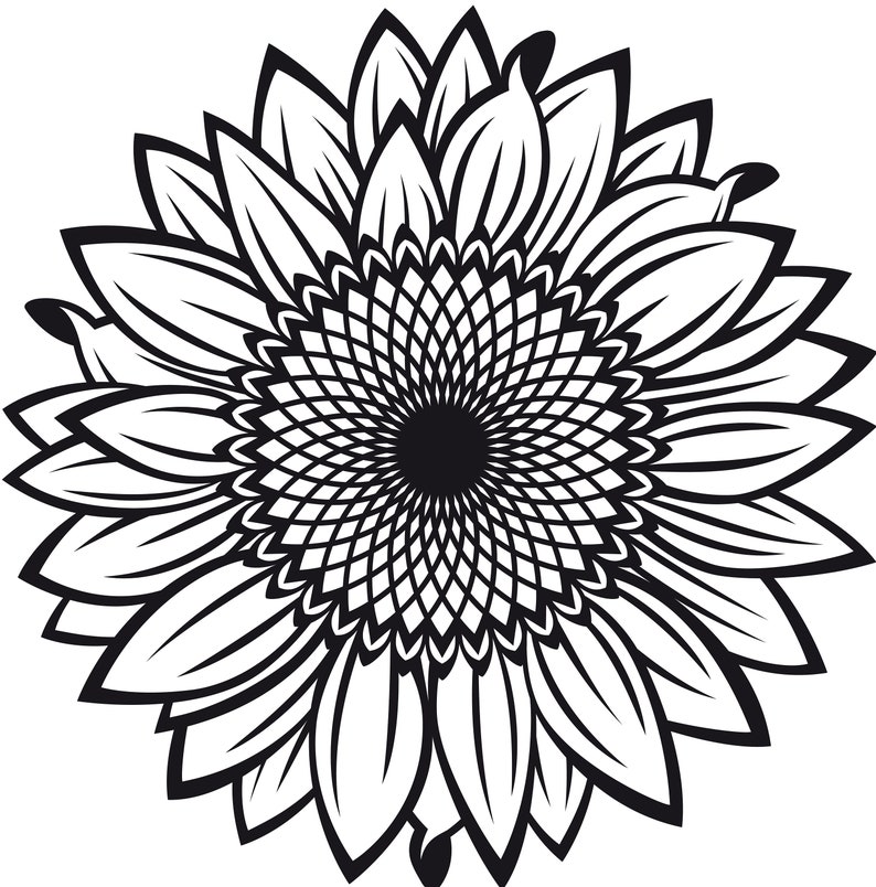 Download Split Sunflower for Design SVG File Half Flower PNG ...