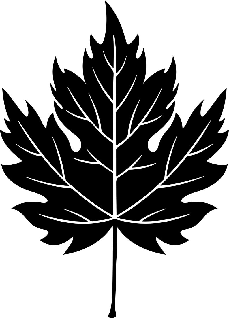 Maple Leaf SVG Fall Leaves PNG Half Leaf Clip Art | Etsy
