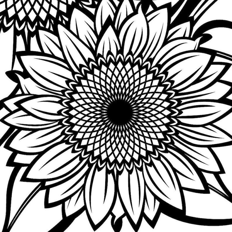 Black and White Sunflowers for Design SVG Sunflower Cut File - Etsy