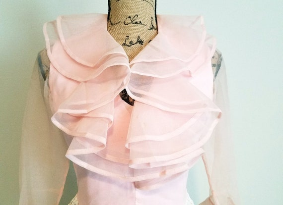 1970s Jack Bryan Pale Pink Chiffon Ruffled Evenin… - image 1