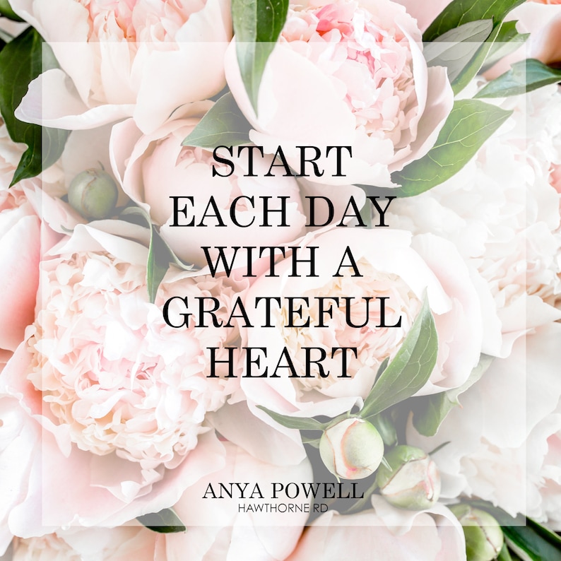 K&ouml;nnte beinhalten: Eine Nahaufnahme eines Strau&szlig;es rosa Pfingstrosen mit gr&uuml;nen Bl&auml;ttern. Der Text "Start each day with a grateful heart" ist &uuml;ber das Bild gelegt. Der Text "Anya Powell Hawthorne Rd" befindet sich am unteren Rand des Bildes.