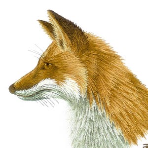 Red Fox Needle Painting Hand Embroidery Kit and PDF File with Colour Work-in-Progress Photos