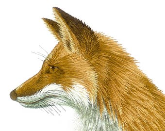 Red Fox Needle Painting Hand Embroidery Kit and PDF File with Colour Work-in-Progress Photos