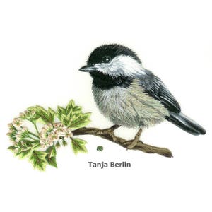 Chickadee on Blossom Branch Needle Painting Hand Embroidery Kit