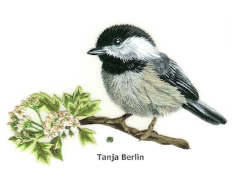 Chickadee on Blossom Branch Needle Painting Hand Embroidery Kit