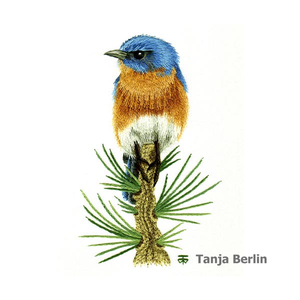 Bluebird Needle Painting Embroidery Kit: Bird on Pine Branch Colour Photos (PDF)