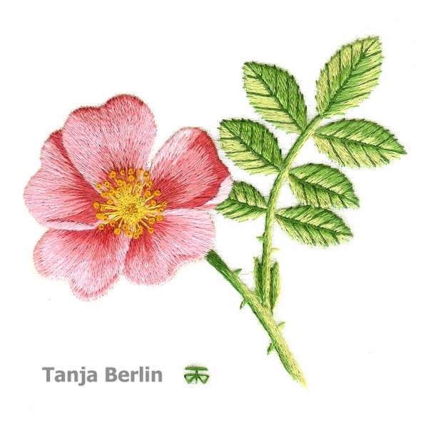 Wild Rose Hand Embroidery Kit: Needle Painting for Beginners