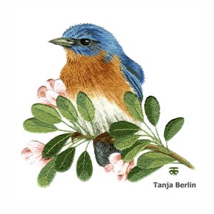 Bluebird & Blossom Needle Painting Embroidery Kit: With Digital Download with Colour Work-in-Progress Photos