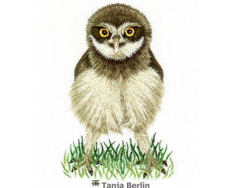 May include: Embroidered artwork of a brown and white owl with yellow eyes, standing on green grass. The artwork is signed "Tanja Berlin" in the bottom right corner.