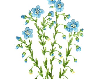May include: A delicate embroidery design featuring a cluster of blue flax flowers with green stems and leaves. The design is on a white background and signed "Tanja Berlin".
