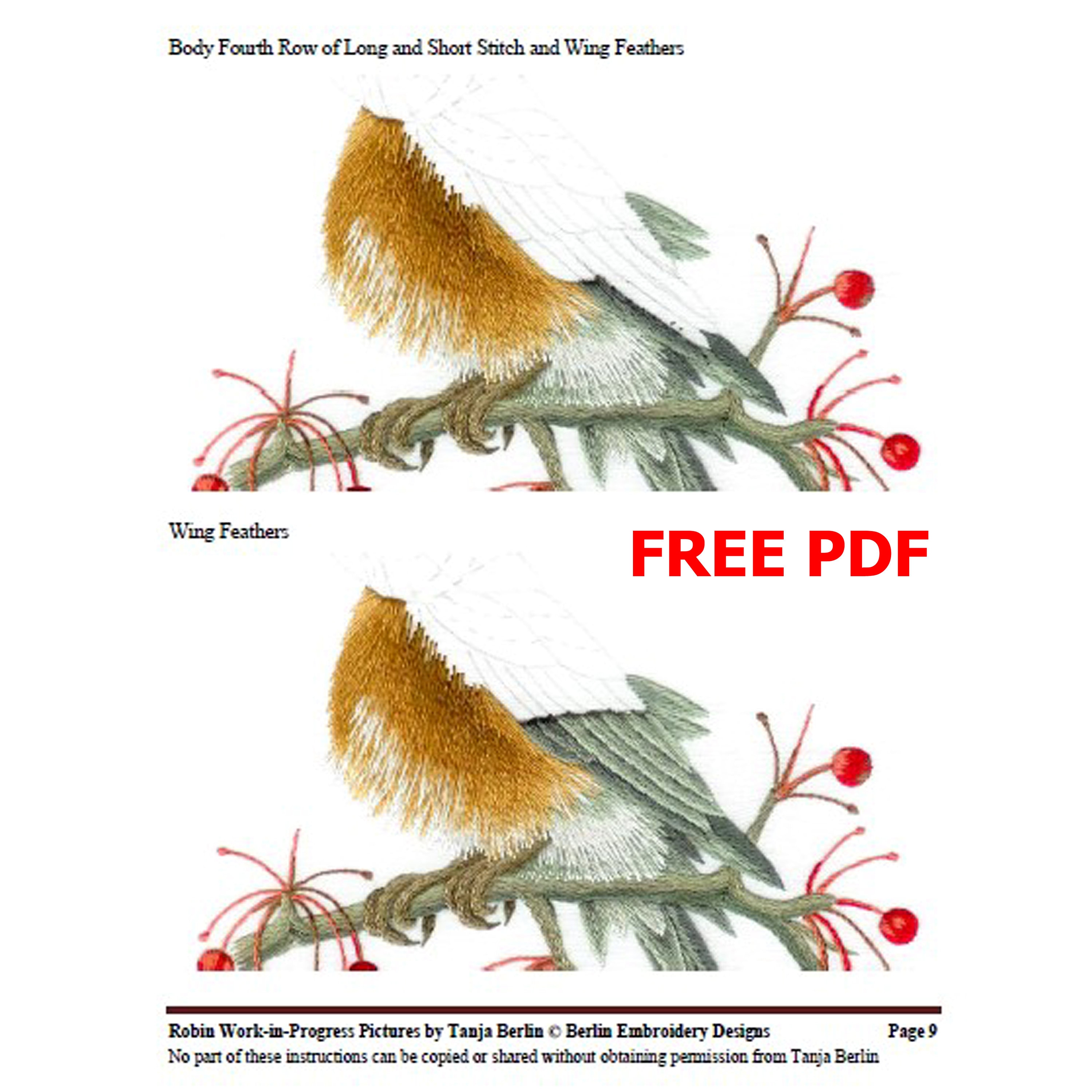 Robin on Berry Branch Hand Embroidery Kit and PDF File With Colour Work ...