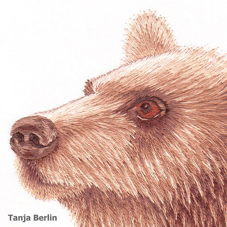 Grizzly Bear Hand Embroidery Kit and PDF File With Colour Workin