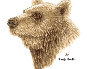 May include: A close-up of a brown bear's head, with a soft, furry texture. The bear's eyes are brown and its nose is black. The image is a digital illustration by Tanja Berlin.