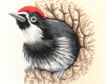 Hand Embroidery Kit - Detailed Instructions with Colour Pictures for the Acorn Woodpecker